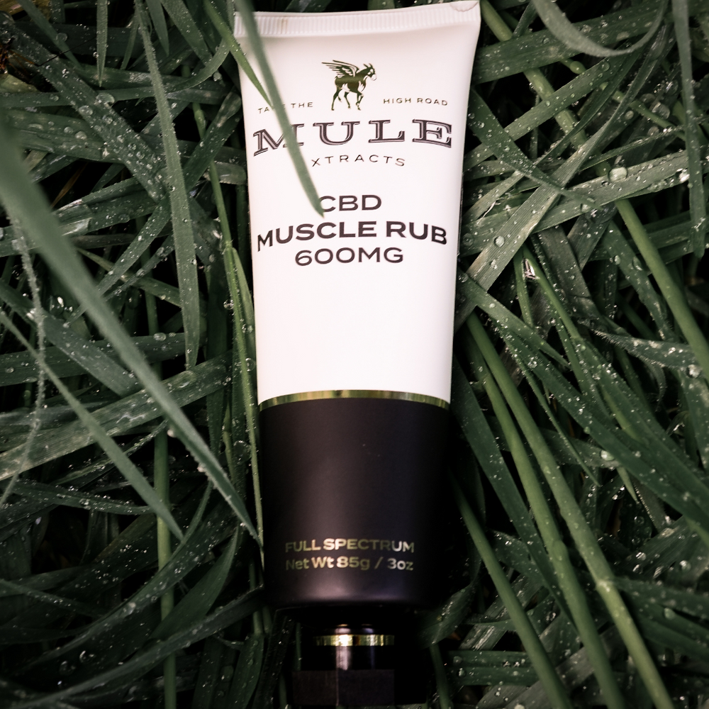 
                  
                    CBD Muscle Rub 600mg Solo Product Laid on Grass
                  
                