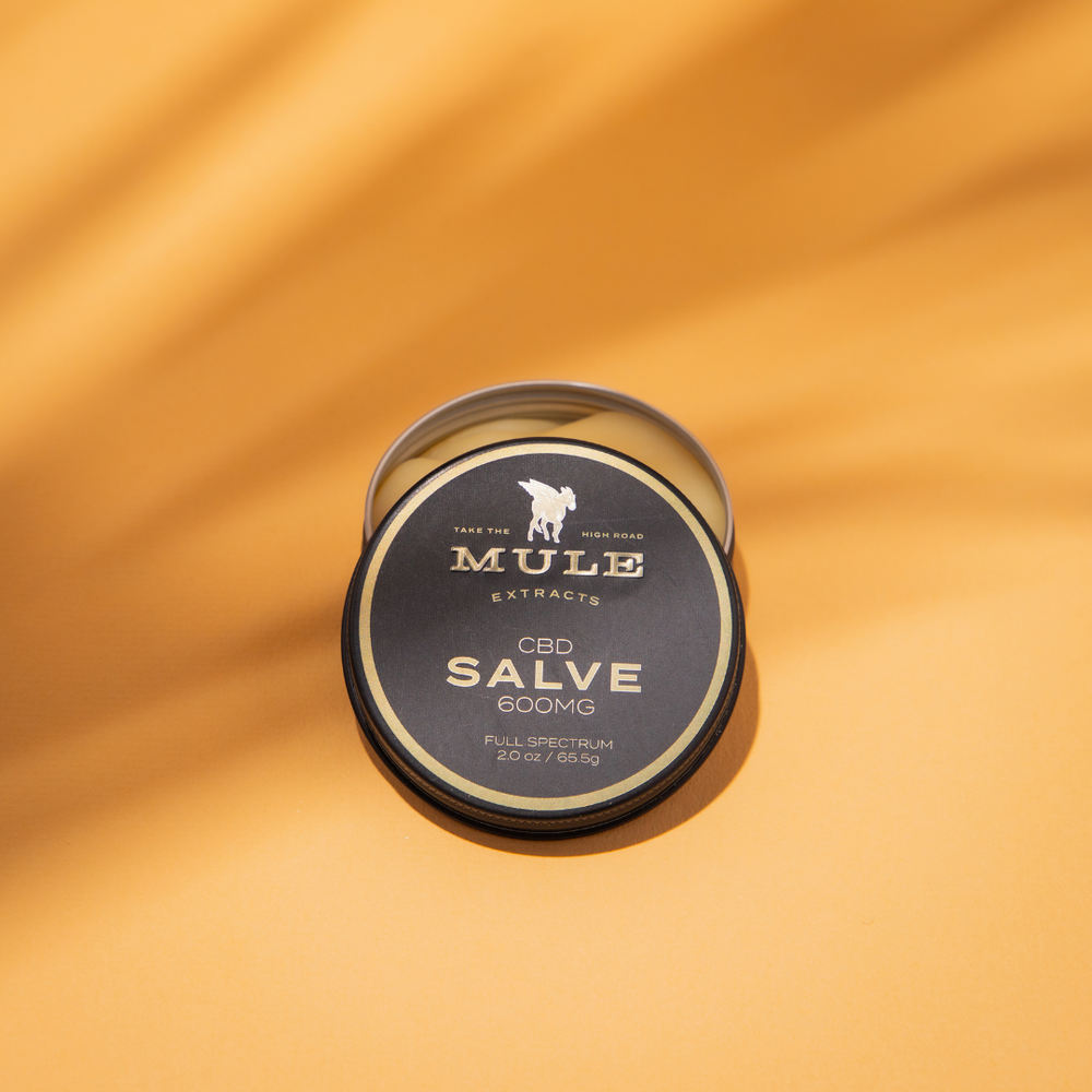 
                  
                    CBD Salve Solo Product Open with Orange Background
                  
                