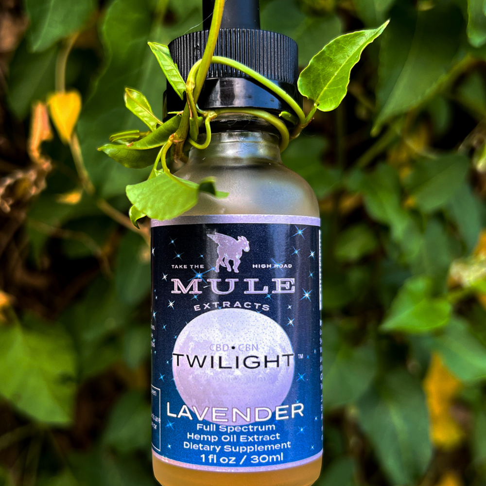 Twilight CBD:CBN Tincture – Mule Extracts
