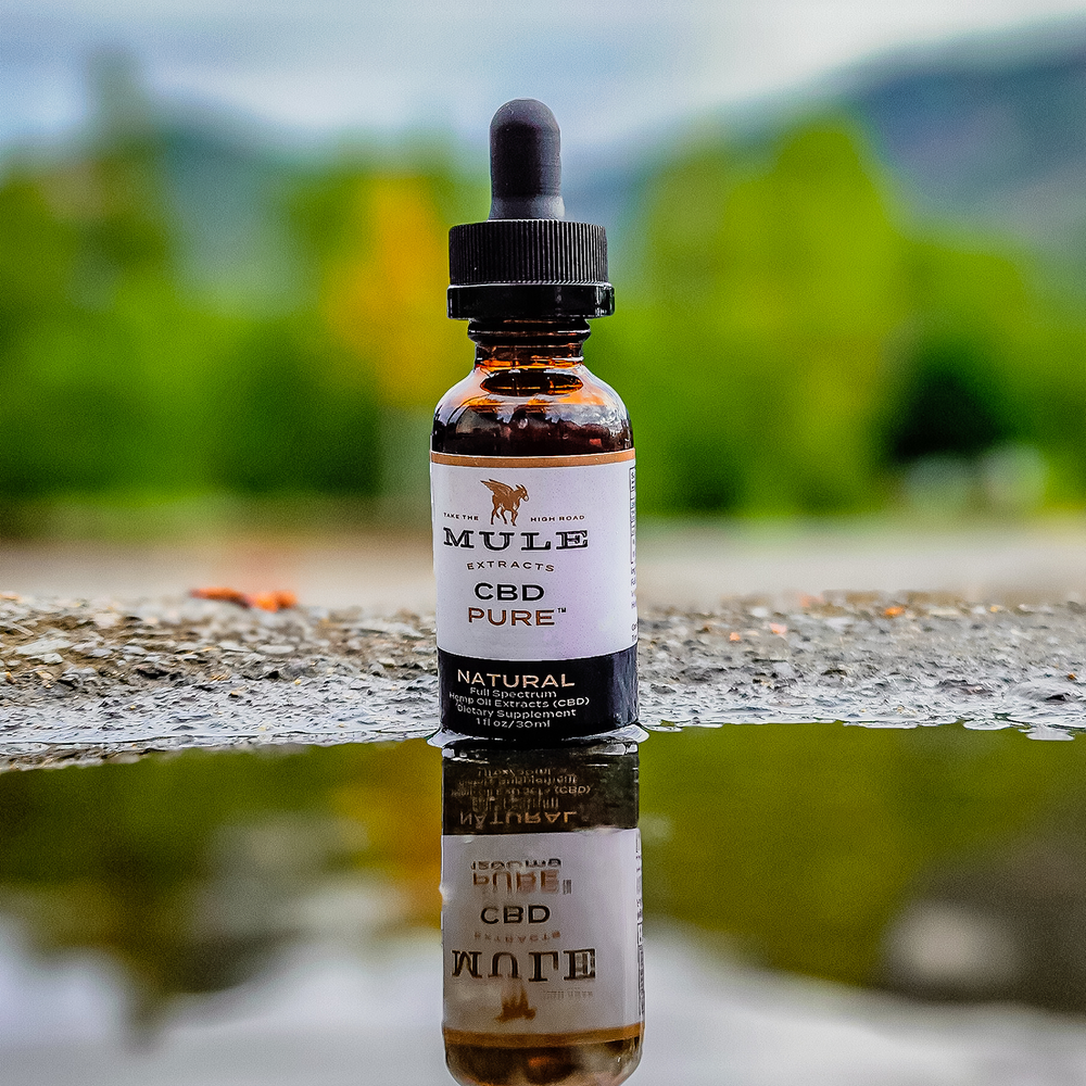 Pure CBD Tincture – Mule Extracts